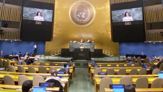 United Nations: India's Permanent Representative to the UN Ambassador Ruchira Kamboj addresses the UN General Assembly plenary meeting.(PTI)