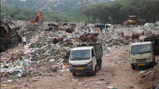 HT had reported that garbage dumping continued unabated at the Jhuriwala site on Thursday, a day after the NGT rap. (HT File)