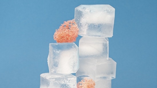 Cold Compress: Wash the area properly with soap and water and then immediately apply a cold compress like an ice pack, or a bag of ice or frozen vegetables wrapped in a cloth to reduce pain and swelling.(Unsplash)