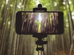 Best Selfie Sticks 