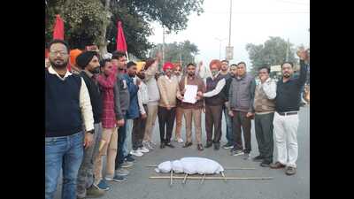 The teachers had earlier protested at the District education officer (DEO) in Sangrur on November 3, seeking permission for extracurricular activities. (HT photo) The teachers had earlier protested at the District education officer (DEO) in Sangrur on November 3, seeking permission for extracurricular activities. (HT photo)