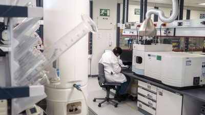 Alzheimer's researchers have long known that APOE4 increases the accumulation of amyloid beta in people's brains. (Bloomberg) Alzheimer's researchers have long known that APOE4 increases the accumulation of amyloid beta in people's brains. (Bloomberg)