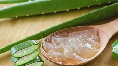 Pre-winter skincare routine with aloe vera (Twitter/Victoria81087) Pre-winter skincare routine with aloe vera (Twitter/Victoria81087)
