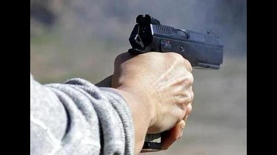 The Punjab government had on November 13 banned the public display of firearms, including on social media, and songs allegedly promoting gun culture and violence, as it tightened regulation after facing flak from the opposition over the law and order situation. (Representative photo)