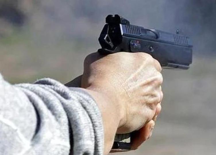 Patiala deputy commissioner Sakshi Sawhney on Saturday said the action was taken against people having more than two weapons per licence. (Representative image)
