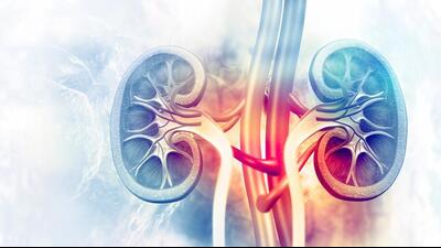 SGPGIMS’ department of nephrology has been relocated to the emergency and renal transplant centre, which has 110 dialysis stations, two operation theatres, 97 clinical nephrology beds and an 11-bed ICU.