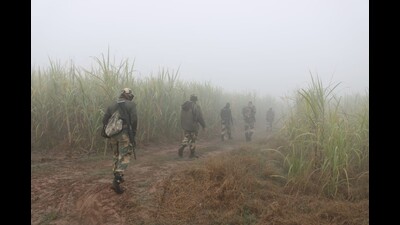 BSF and Punjab Police personnel on Sunday launched search operations after two incidents of drone flying were reported near the India-Pakistan border. (HT photo)