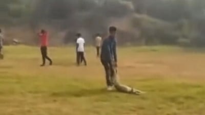 In another clipping, the men can be seen dragging the animal’s body across a park. In another clipping, the men can be seen dragging the animal’s body across a park.