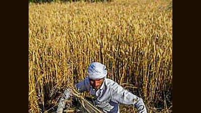 Farmers demands also include increase in the sugarcane purchase price to  ₹500 per quintal, banning action against farmers for burning crop residue, provision of free power for farmers, dismissal and arrest of Union minister of state for home Ajay Mishra ‘Teni’ for his ‘involvement’ in the Lakhimpur violence, withdrawal of ban against tractor-trolley and compensation for crop damaged due to unseasonal rains.