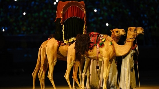 .General view of camels during the opening ceremony.(REUTERS)