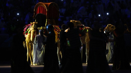 General view of camels during the opening ceremony.(REUTERS)