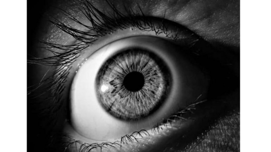 Blinding eye disease linked with cardiovascular disease: Research(Yahoo)