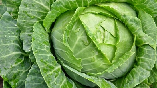 Cabbage helps protect skin cells from damage.  It also acts as a layer to protect the skin from the harmful UV rays of the sun.  (Unsplash)