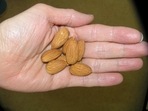 A recent study has found those who ate a handful of nuts daily were associated with a 20% lower risk of dying from cancer, heart disease, and other major causes of death compared to those who did not have them.(Pixabay) A recent study has found those who ate a handful of nuts daily were associated with a 20% lower risk of dying from cancer, heart disease, and other major causes of death compared to those who did not have them.(Pixabay)