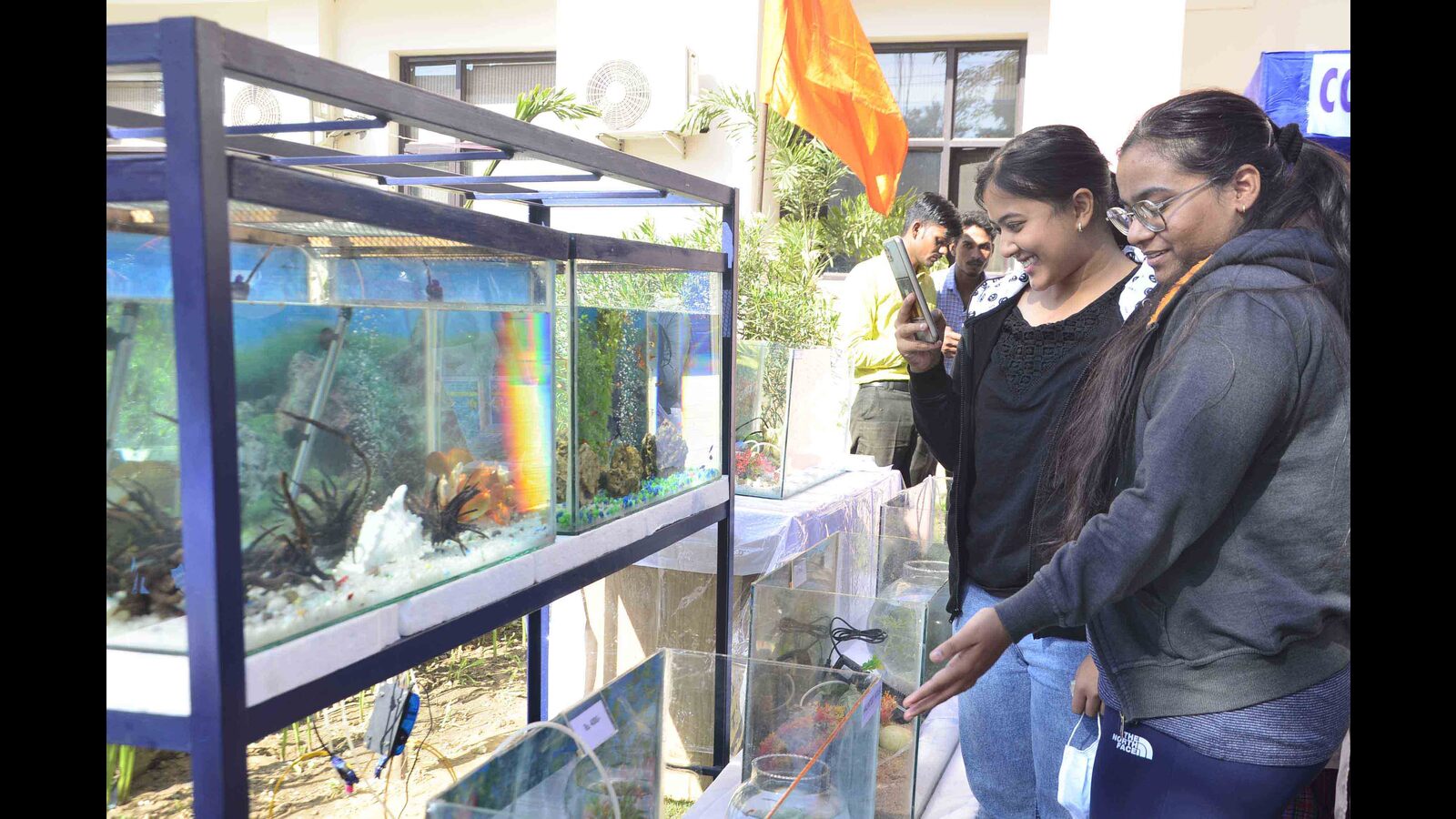 Ludhiana GADVASU holds ornamental fish festival Hindustan Times