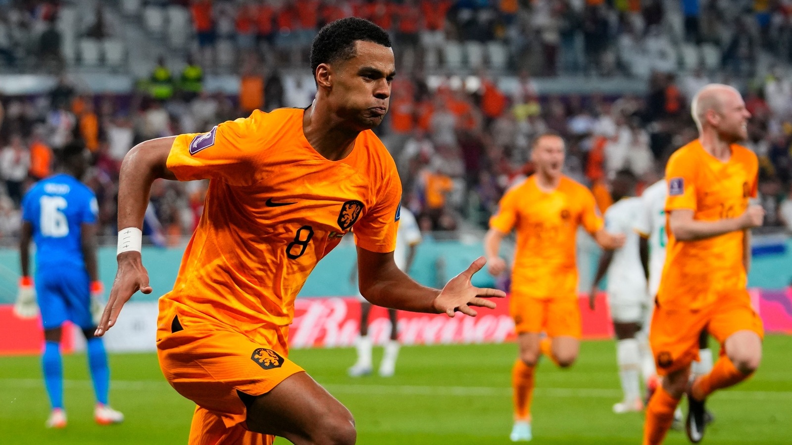 Senegal Vs Netherlands Highlights FIFA World Cup 2022 Cody Gakpo 