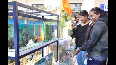 Students having a good time at the ornamental fish festival organised by GADVASU (HT Photo)