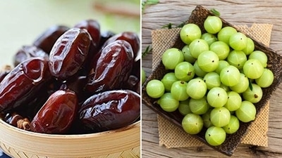 It is important to modify our diet in winter and include more fibre, herbs and spices, good fat and seasonal fruits and vegetables in it to avoid gut health related issues. (Pinterest) It is important to modify our diet in winter and include more fibre, herbs and spices, good fat and seasonal fruits and vegetables in it to avoid gut health related issues. (Pinterest)
