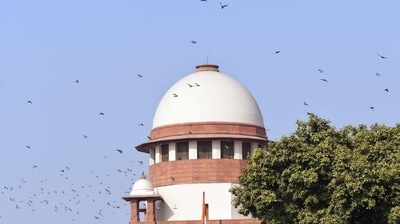New Delhi, Nov 11 (ANI): A flock of birds passes by the complex of the Supreme Court of India. (ANI Photo) (Shrikant Singh) New Delhi, Nov 11 (ANI): A flock of birds passes by the complex of the Supreme Court of India. (ANI Photo) (Shrikant Singh)