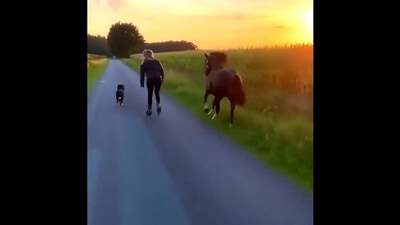 Woman skating with her pet dog and horse. (Twitter/@buitengebieden) Woman skating with her pet dog and horse. (Twitter/@buitengebieden)