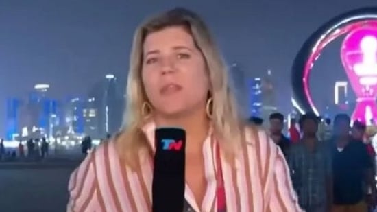 FIFA World Cup: Argentine journalist Dominique Metzger was conducting a live broadcast.(Twitter)