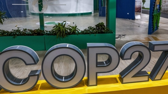 This COP (conference of parties) was meant to firm up implementation roadmaps for the call, but lacked any concrete steps.(AFP Photo)