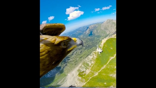 Anand Mahindra derives his Monday Motivation from an eagle flying high over the Alps. (Twitter/@anandmahindra)