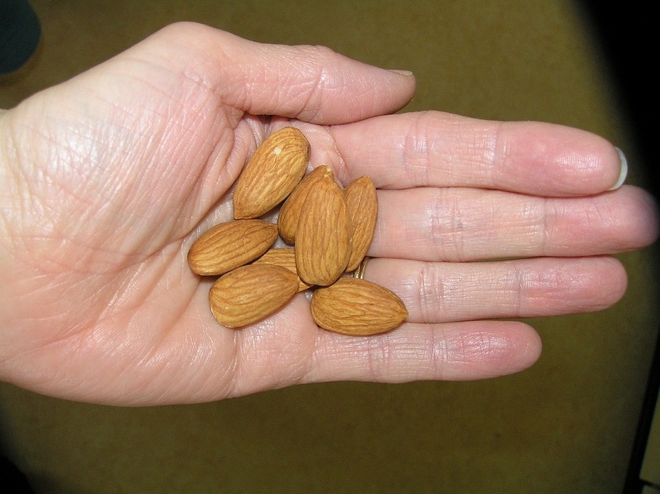 A recent study has found those who ate a handful of nuts daily were associated with a 20% lower risk of dying from cancer, heart disease, and other major causes of death compared to those who did not have them. (Pixabay) A recent study has found those who ate a handful of nuts daily were associated with a 20% lower risk of dying from cancer, heart disease, and other major causes of death compared to those who did not have them. (Pixabay)
