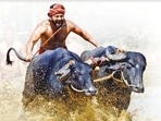 Rishab Shetty in a still from Kantara.