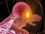 Connection between gut and stroke-induced cognitive impairment: Research(Image by Gerd Altmann from Pixabay ) Connection between gut and stroke-induced cognitive impairment: Research(Image by Gerd Altmann from Pixabay )