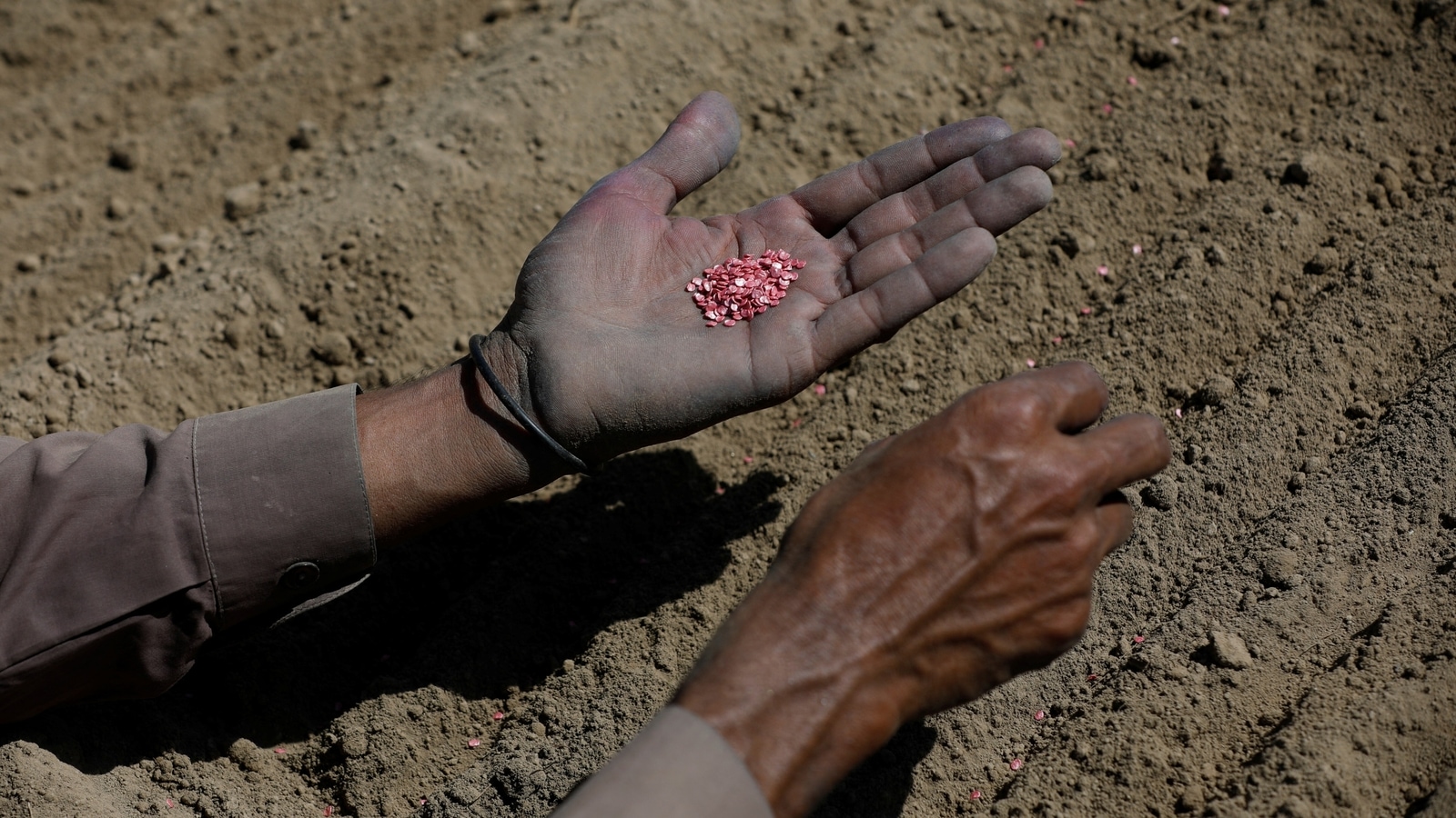 Photos: Pakistan’s chili capital struggles with climate change