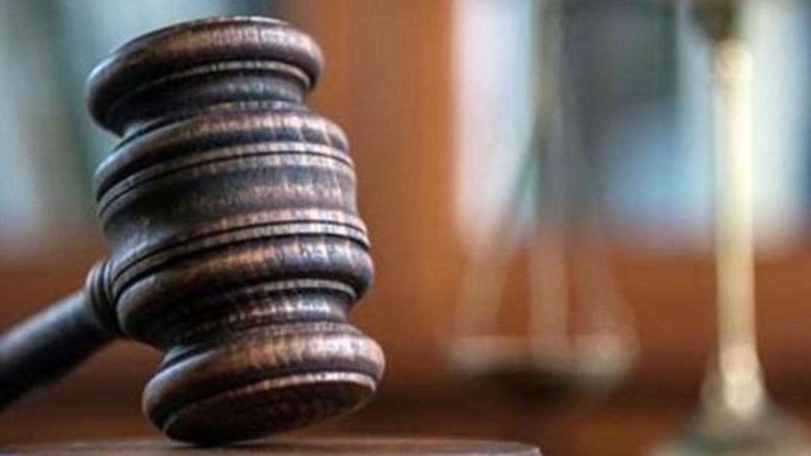 Rajasthan HC allows girl to undergo abortion in 27th week of pregnancy