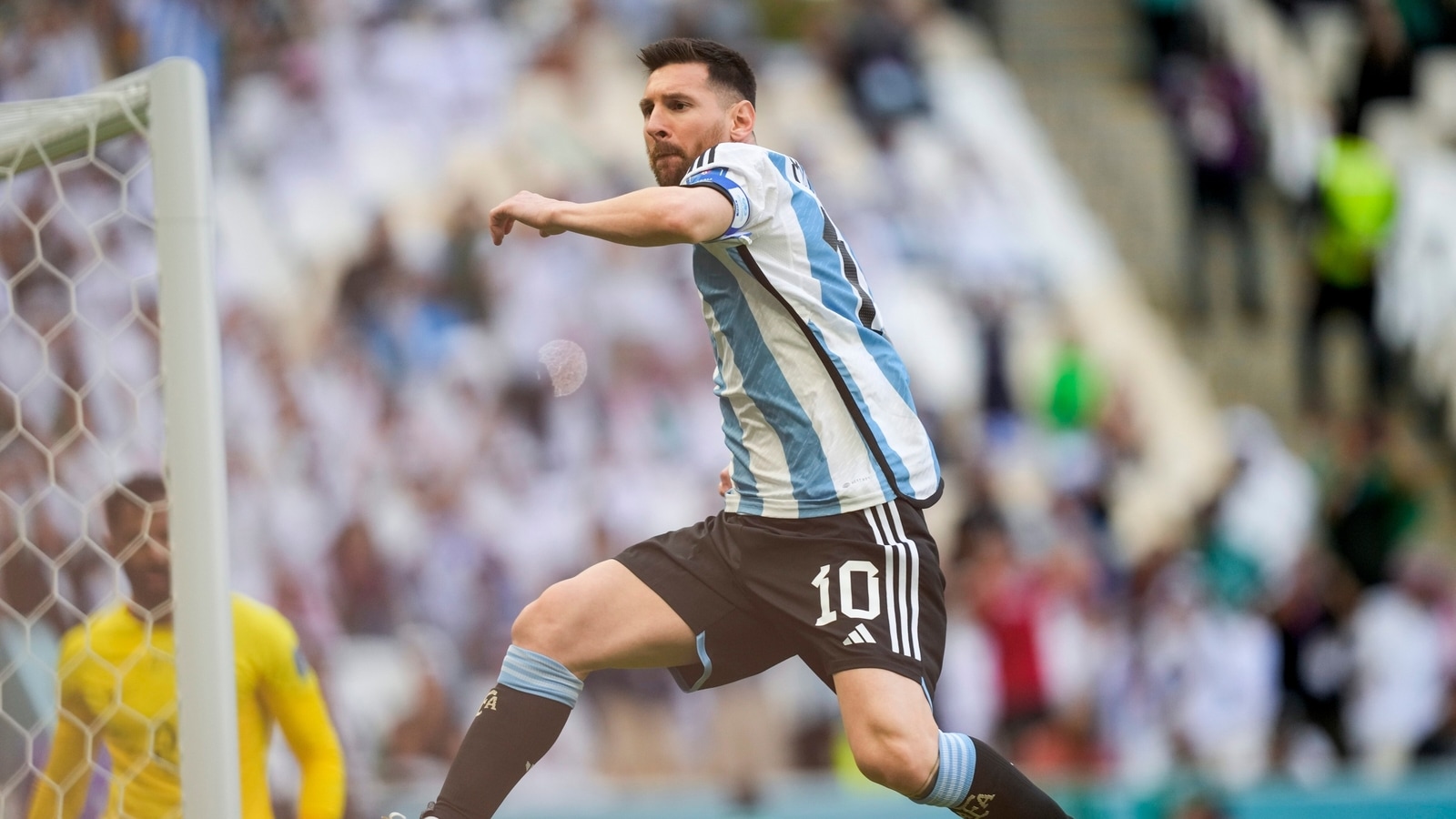 How many goals has Lionel Messi scored for Argentina? Albiceleste