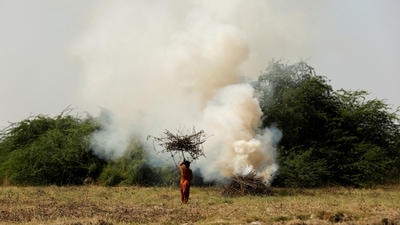 A worker burns cotton plants damaged by rain water and floods to prepare the soil for the next crop, in Kunri, Umerkot, on October 16, 2022.&nbsp; After heavy flooding inundated his farm a few months ago, Kunri farmer Faisal Gill decided to sacrifice his cotton crops to try to save chili. (Akhtar Soomro / REUTERS)