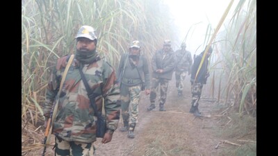Every year, from mid-November to February, fog reduces visibility almost to zero at the border, especially in the morning and evening hours, making it difficult for the security forces. (HT photo) Every year, from mid-November to February, fog reduces visibility almost to zero at the border, especially in the morning and evening hours, making it difficult for the security forces. (HT photo)