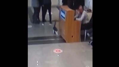 Cat with broken paw visits hospital. (Facebook/@Bitlis Tatvan Devlet Hastanesi) Cat with broken paw visits hospital. (Facebook/@Bitlis Tatvan Devlet Hastanesi)