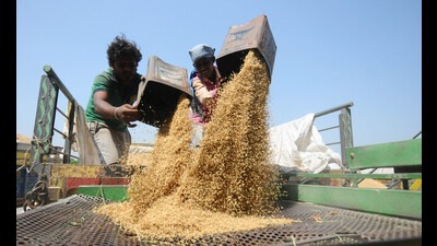 The farmers are forced to perform thikri pehra (guarding the crop) in the mandi to save their crops from being stolen. (HT file photo) The farmers are forced to perform thikri pehra (guarding the crop) in the mandi to save their crops from being stolen. (HT file photo)