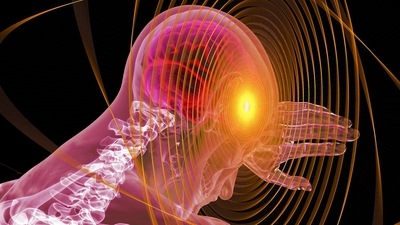 Connection between gut and stroke-induced cognitive impairment: Research (Image by Gerd Altmann from Pixabay ) Connection between gut and stroke-induced cognitive impairment: Research (Image by Gerd Altmann from Pixabay )