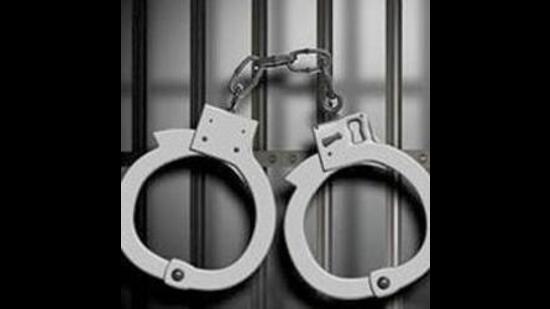Kurukshetra travel agent held for duping youth of ₹ 28 lakh