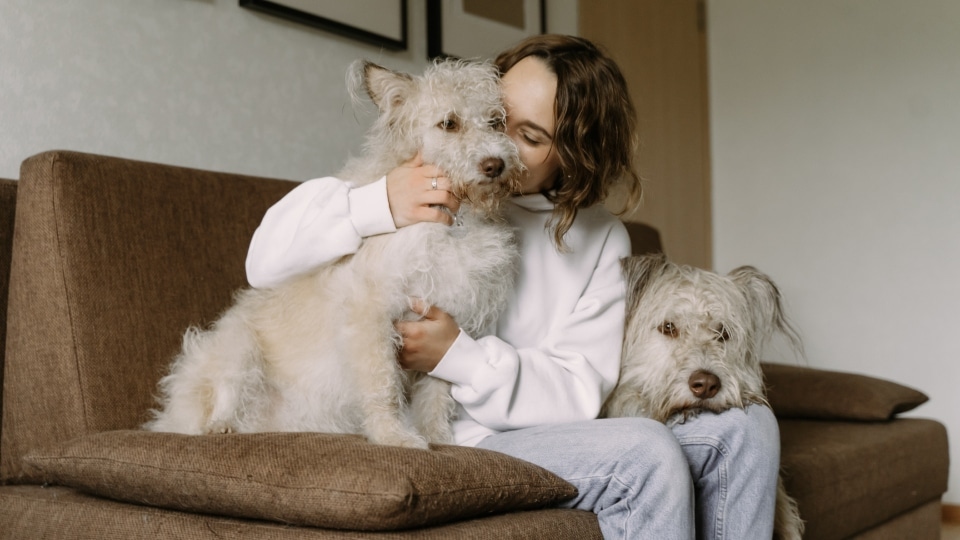 Be Grateful For Having Furry Friends. (Pexels) Be Grateful For Having Furry Friends. (Pexels)