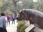 Security guard puts back hippo in its enclosure.(Twitter/@B__S) Security guard puts back hippo in its enclosure.(Twitter/@B__S)