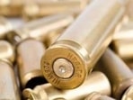 Doctors detected five to six pellet-like objects in the victim’s body. (Representative Image) Doctors detected five to six pellet-like objects in the victim’s body. (Representative Image)