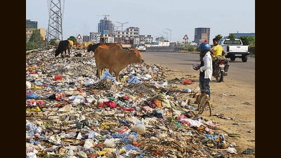 Garbage strewn on Airport Road in Mohali on Wednesday. (SANJEEV SHARMA/HT) Garbage strewn on Airport Road in Mohali on Wednesday. (SANJEEV SHARMA/HT)