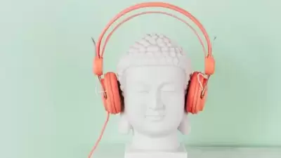 Best OnePlus headphones (https://www.pexels.com) Best OnePlus headphones (https://www.pexels.com)