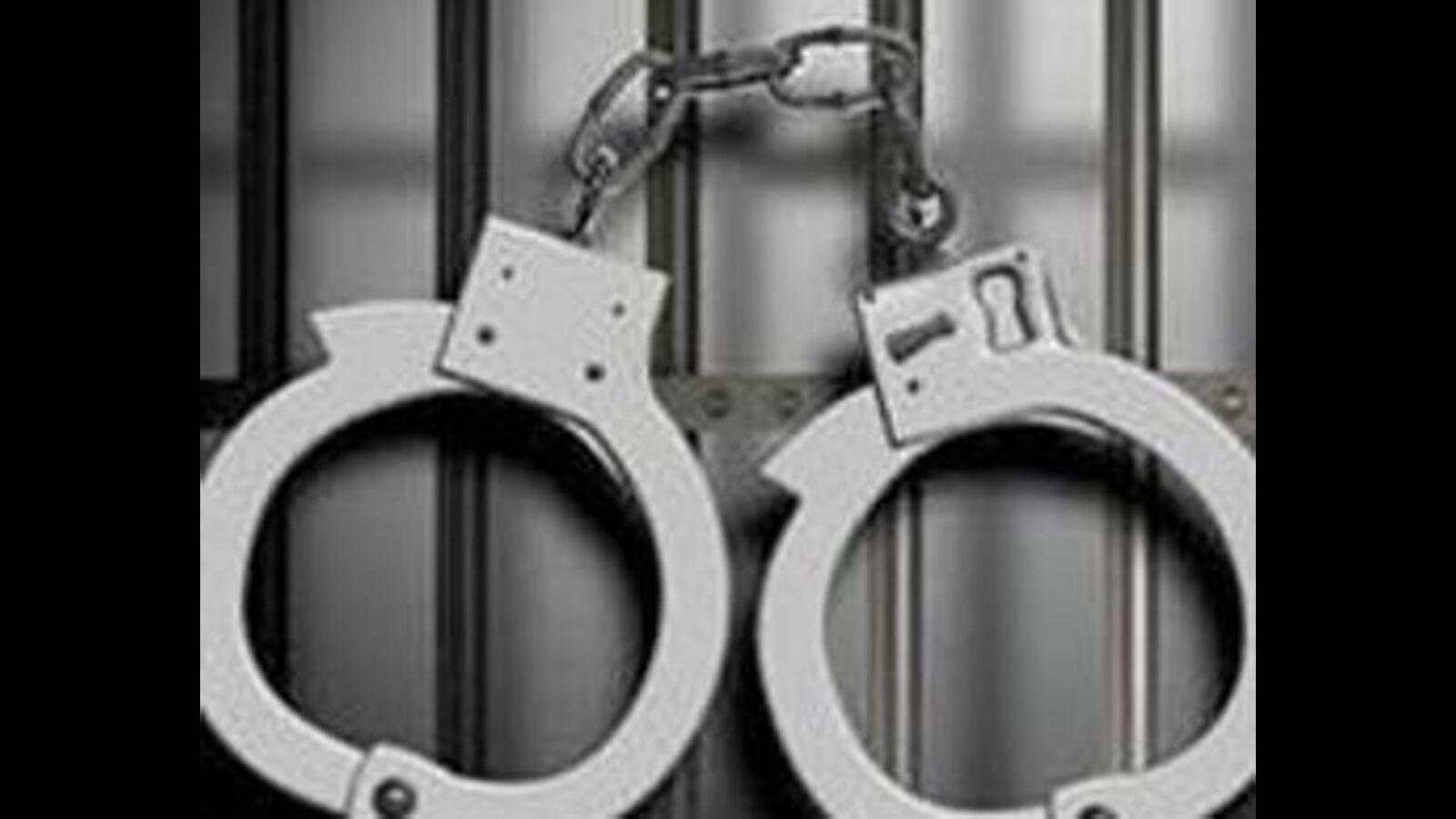 Ludhiana 2 brothers arrested after video of their kids with weapons