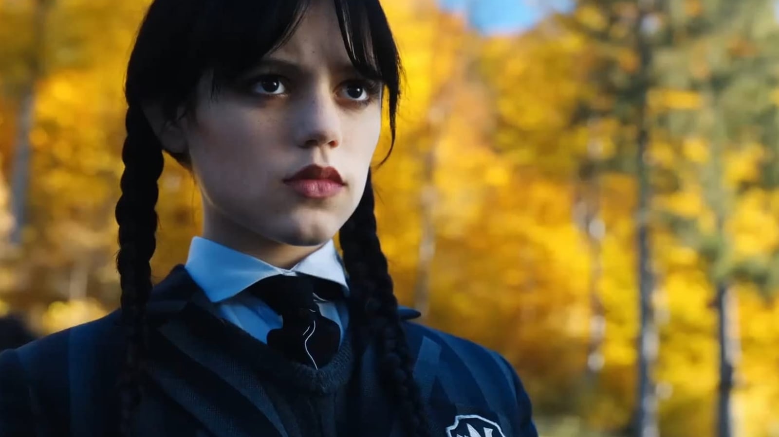 Wednesday Addams for your profile, from Netflix Wednesday, HD