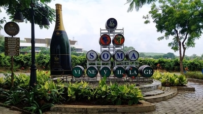 Soma Vineyards: This is India’s first boutique winery. They take their guests on a four-hour tour in which they also educate them about winemaking. Apart from the tour, you can also enjoy the picturesque scenery of the place while tasting the variety of wines. (Instagram/@my_nashik_my_dream) Soma Vineyards: This is India’s first boutique winery. They take their guests on a four-hour tour in which they also educate them about winemaking. Apart from the tour, you can also enjoy the picturesque scenery of the place while tasting the variety of wines. (Instagram/@my_nashik_my_dream)