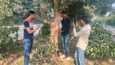 The tree census being carried out in Gurugram. (HT Photo)