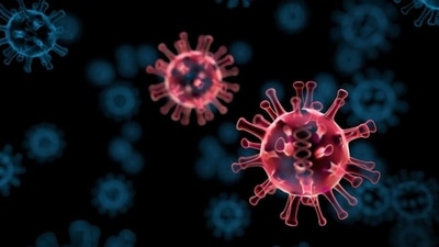 Researchers at the University of Sao Paulo (USP) in Brazil have found that severe COVID-19 is associated with an imbalance in an important immune system signalling pathway.. (Getty Images/iStockphoto)