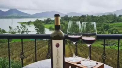 Vallonne Vineyards: This is a boutique wine estate situated in Igatpuri near Nashik. This estate has a winery, a lake-facing restaurant and a boutique vineyard hotel. They also offer winery tours and wine tasting sessions. (Instagram/@vallonne_vineyards) Vallonne Vineyards: This is a boutique wine estate situated in Igatpuri near Nashik. This estate has a winery, a lake-facing restaurant and a boutique vineyard hotel. They also offer winery tours and wine tasting sessions. (Instagram/@vallonne_vineyards)
